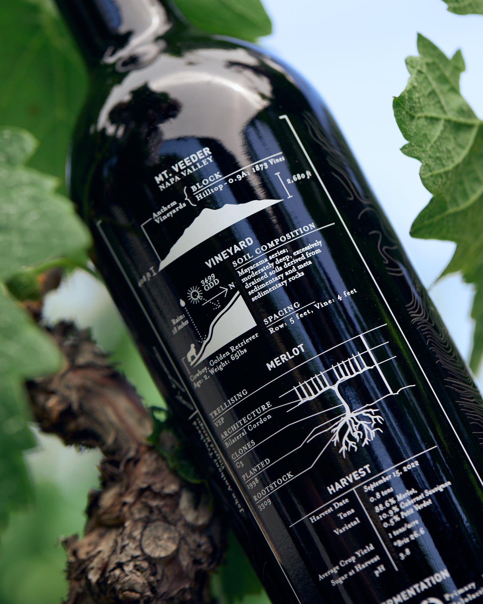 2022 Mt. Veeder Estate Merlot – Anthem