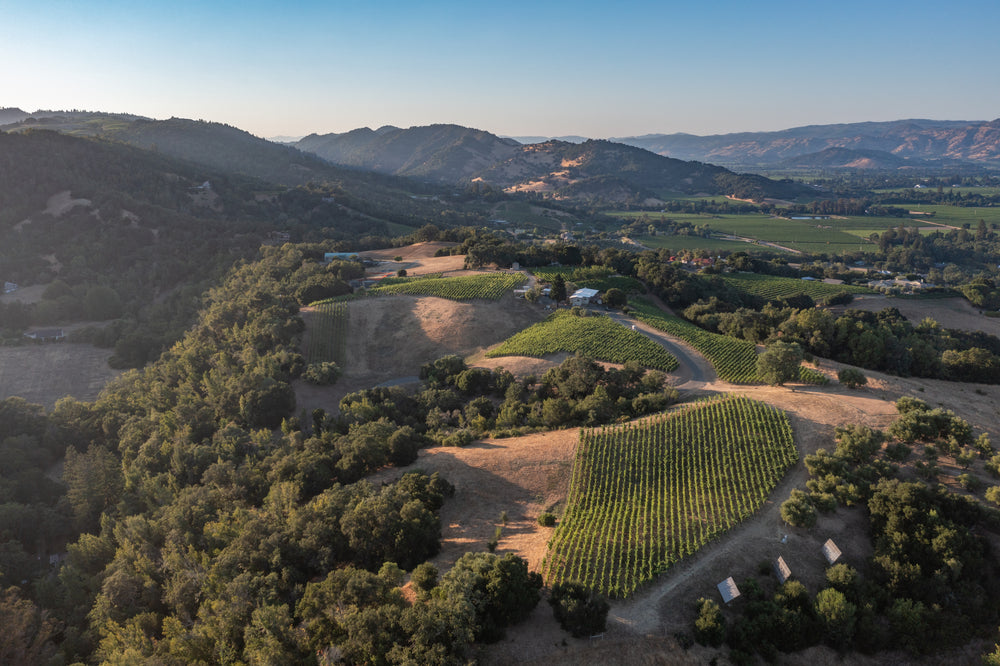 Vineyard Tasting Fee Per Person